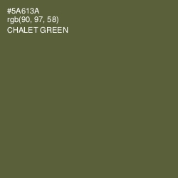 #5A613A - Chalet Green Color Image